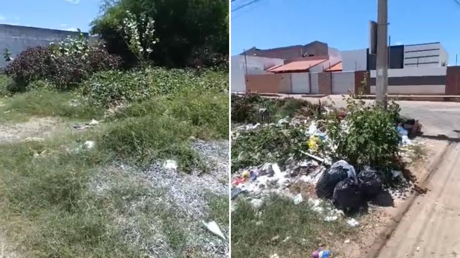 Morador do bairro Salgadinho cobra providências para terreno abandonado que virou ponto de tráfico e lixo; Prefeitura diz que proprietário será multado para que limpe o local
