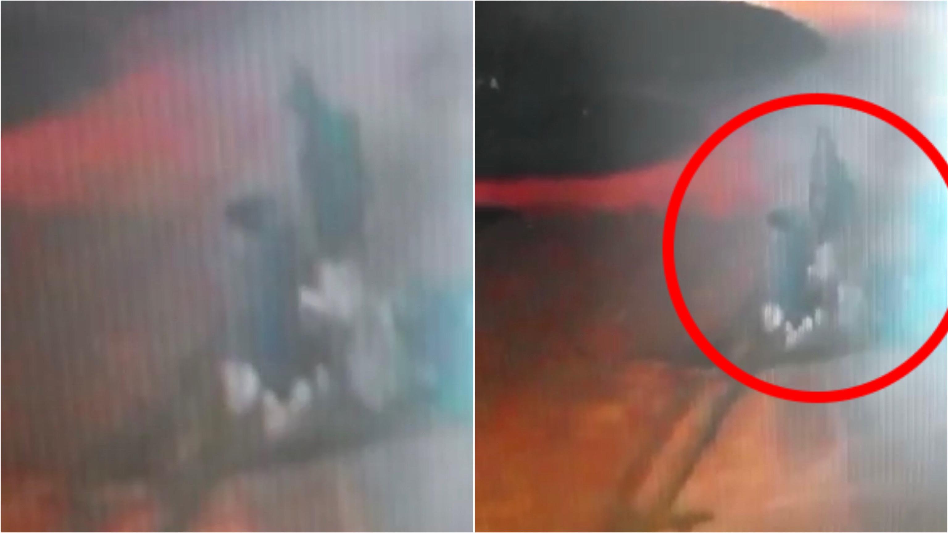 Câmeras flagram homem furtando coletor de lixo no bairro Jardim Bela Vista, em Patos. VÍDEO