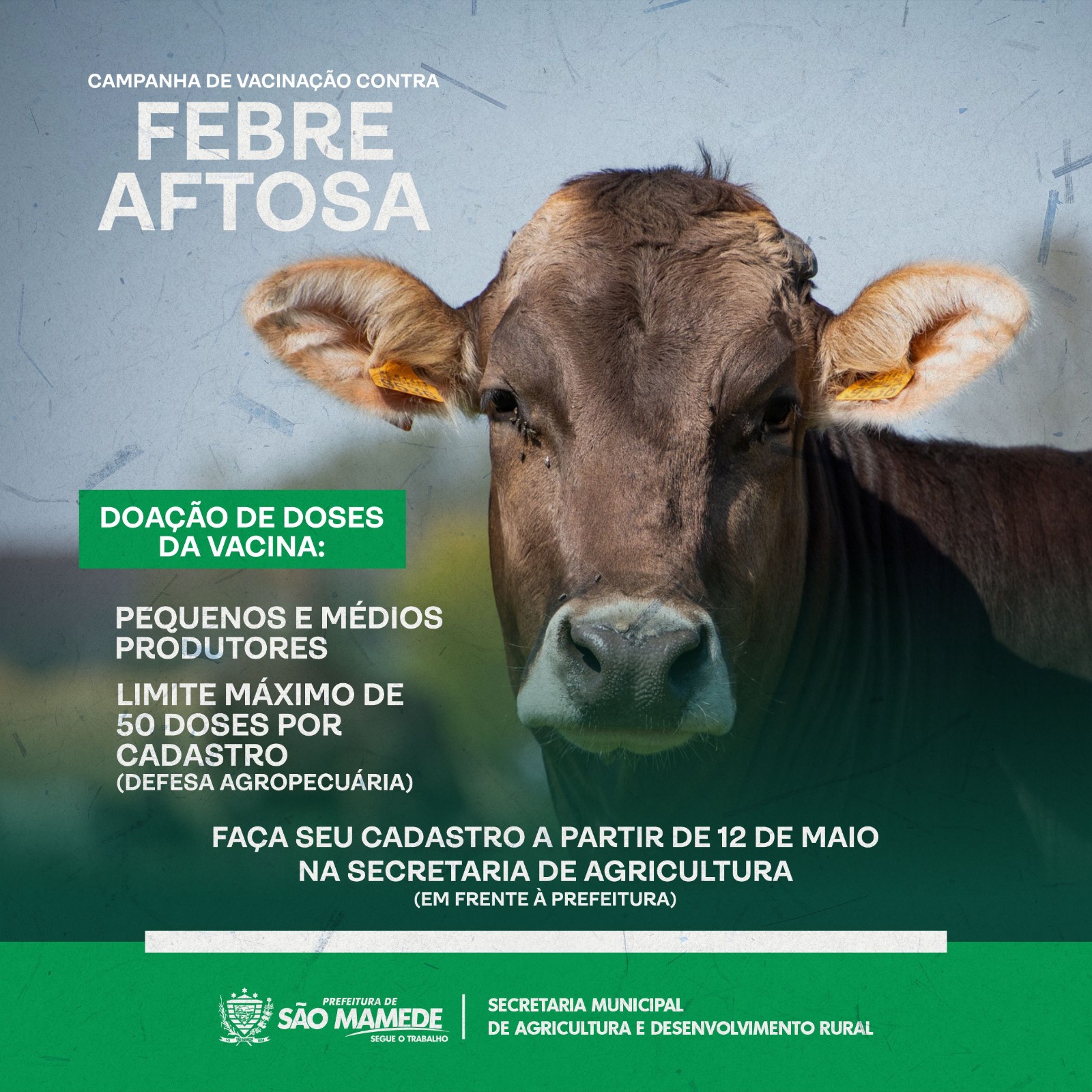 Prefeitura de São Mamede fará doação de vacinas contra a “Febre Aftosa” para pequenos e médios produtores, cadastro inicia dia 12