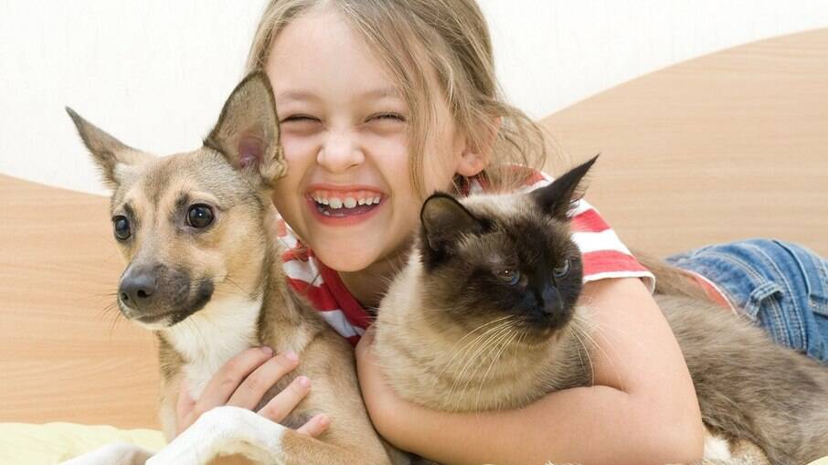 Projeto de Lei libera entrada de PETs em shoppings, galerias e repartições públicas de Patos