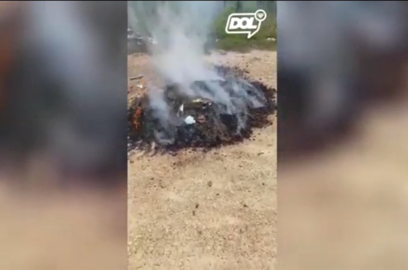 Polícia Civil queima 60 kg de maconha em Piancó. VÍDEO