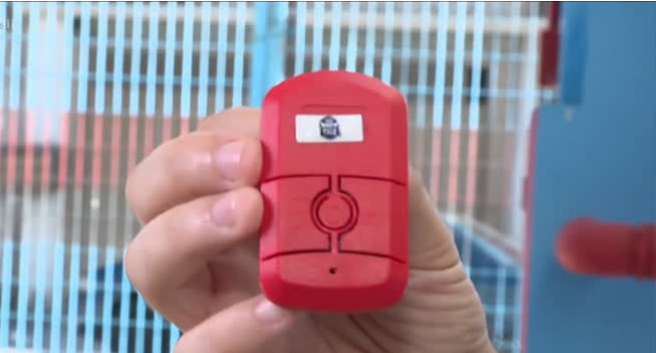 O que é o ‘botão do pânico’ aprovado pela ALPB para escolas da Paraíba