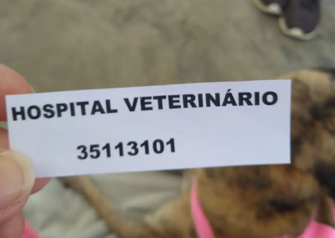 Internauta reclama de atendimento por marcação no Hospital Veterinário da UFCG, em Patos