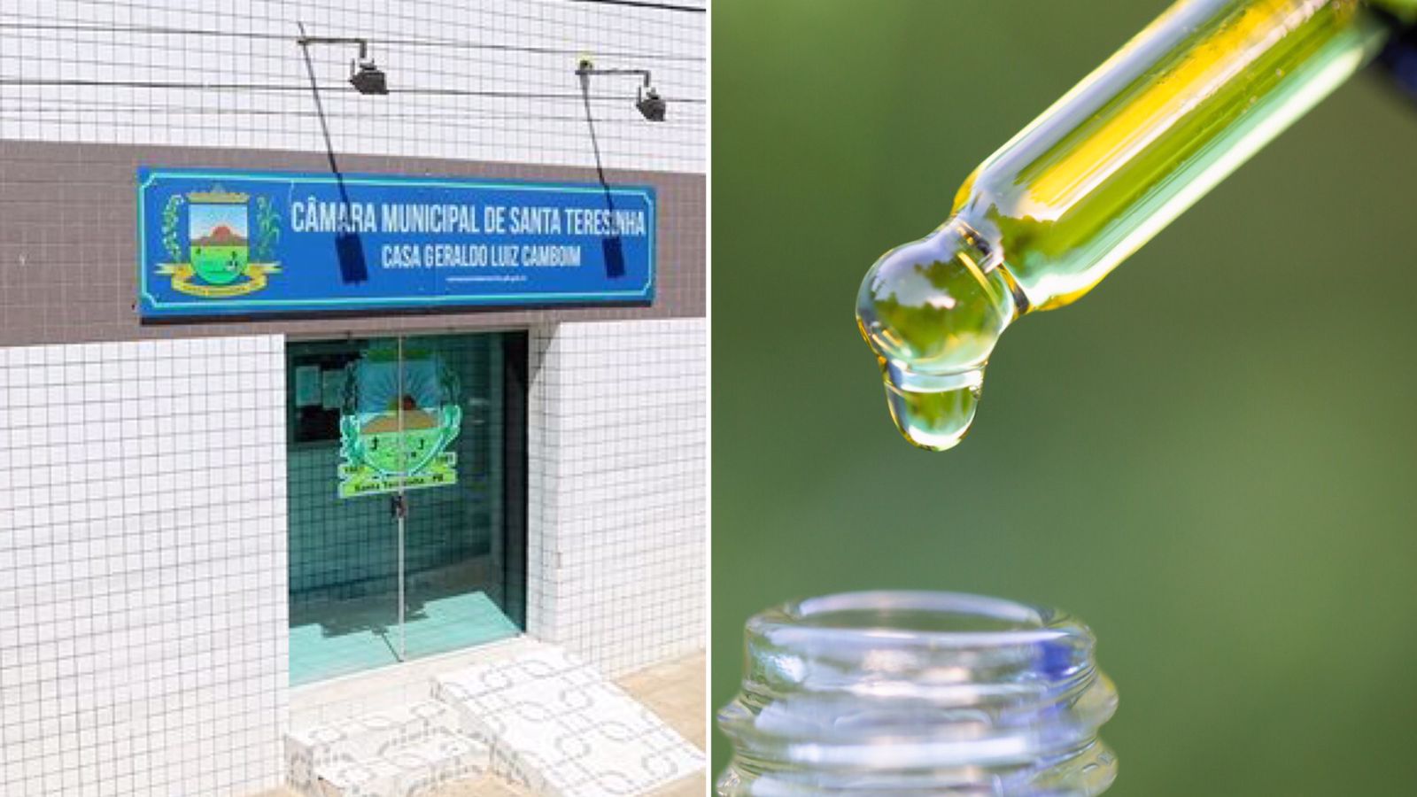 Câmara Municipal de Santa Terezinha - PB debaterá uso medicinal da Cannabis em AUDIÊNCIA PÚBLICA