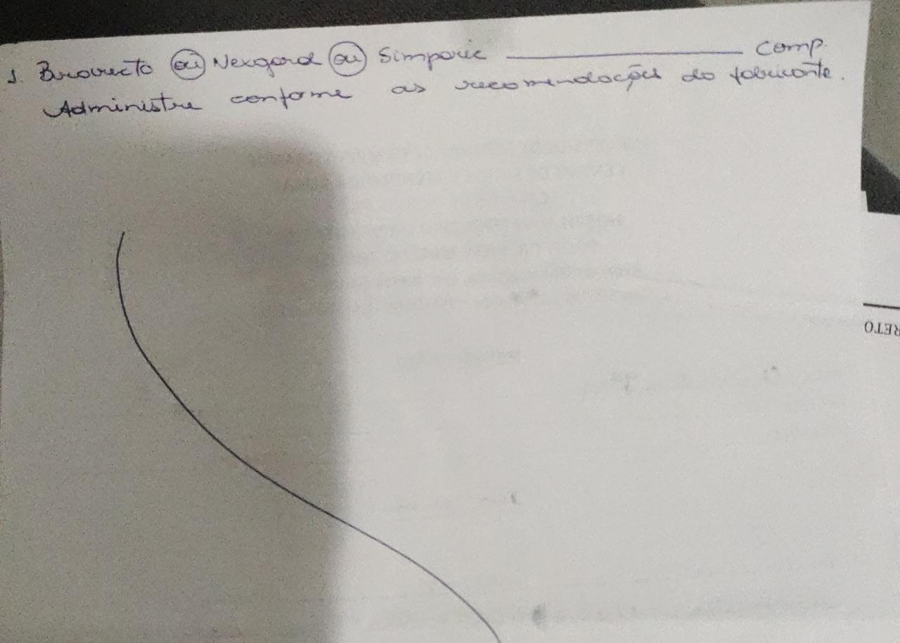 Cidadã pede ajuda para cão de rua que foi encontrado debilitado após ter sido atropelado, em Patos; veja como ajudar