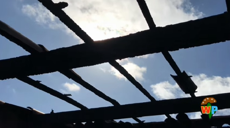 Família pede ajuda após perder quase tudo durante incêndio, no Vale do Piancó