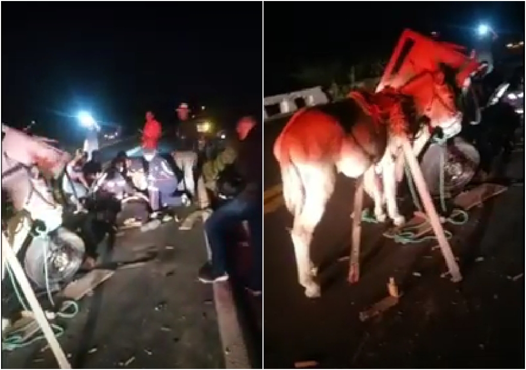 Acidente na BR-230 envolvendo veículo de tração animal e motocicleta deixa três pessoas levemente feridas