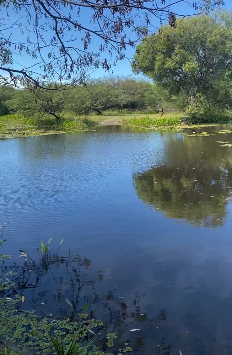 Cerca de 8 homens invadem fazenda na zona rural de Patos, fazem trabalhadores reféns e matam e roubam vários animais