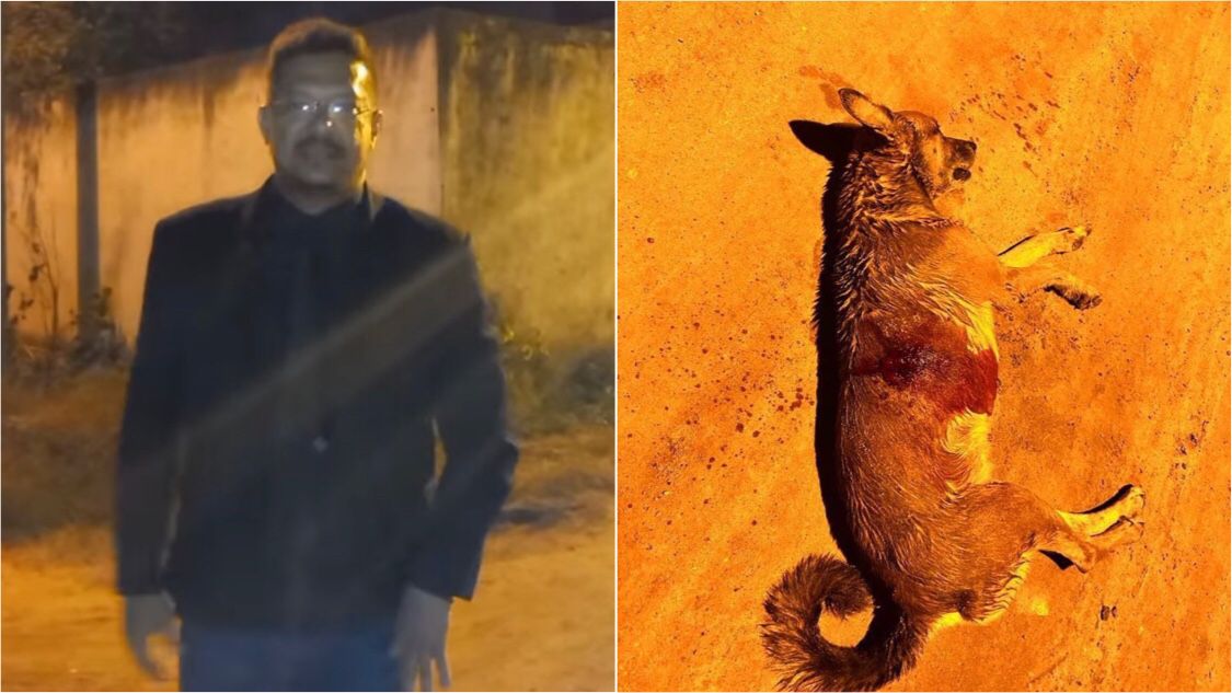 Vereador Sargento Patrian dá detalhes sobre caso de cachorro de rua que foi brutalmente morto a tiros, em Patos