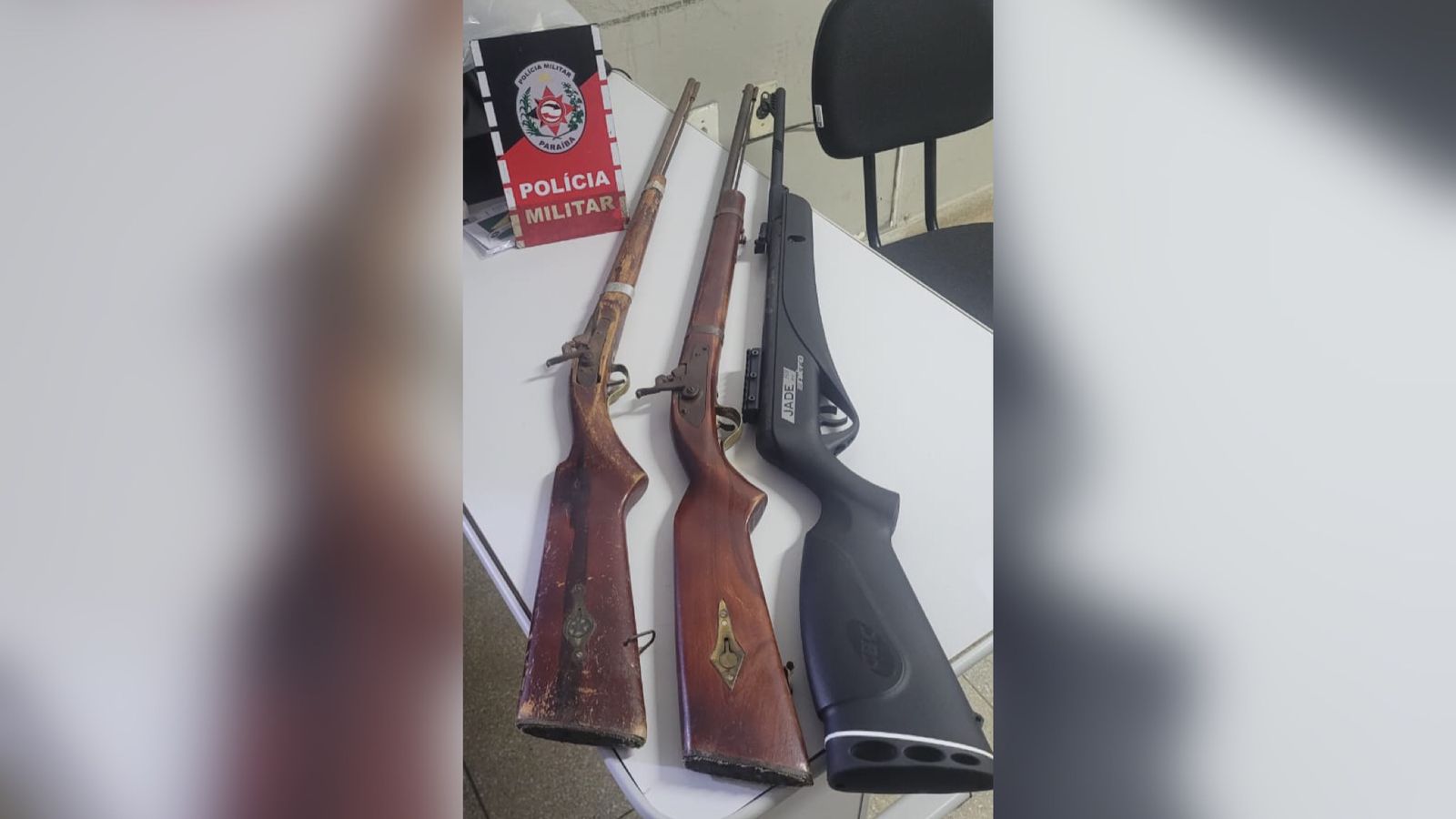 Polícia Militar prende homem por maus-tratos a animal e apreende armas de fogo, em Matureia