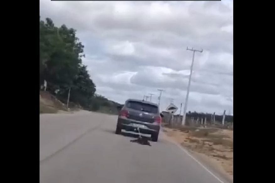 Homem é detido em Catolé do Rocha suspeito de amarrar e arrastar cachorro morto em carro