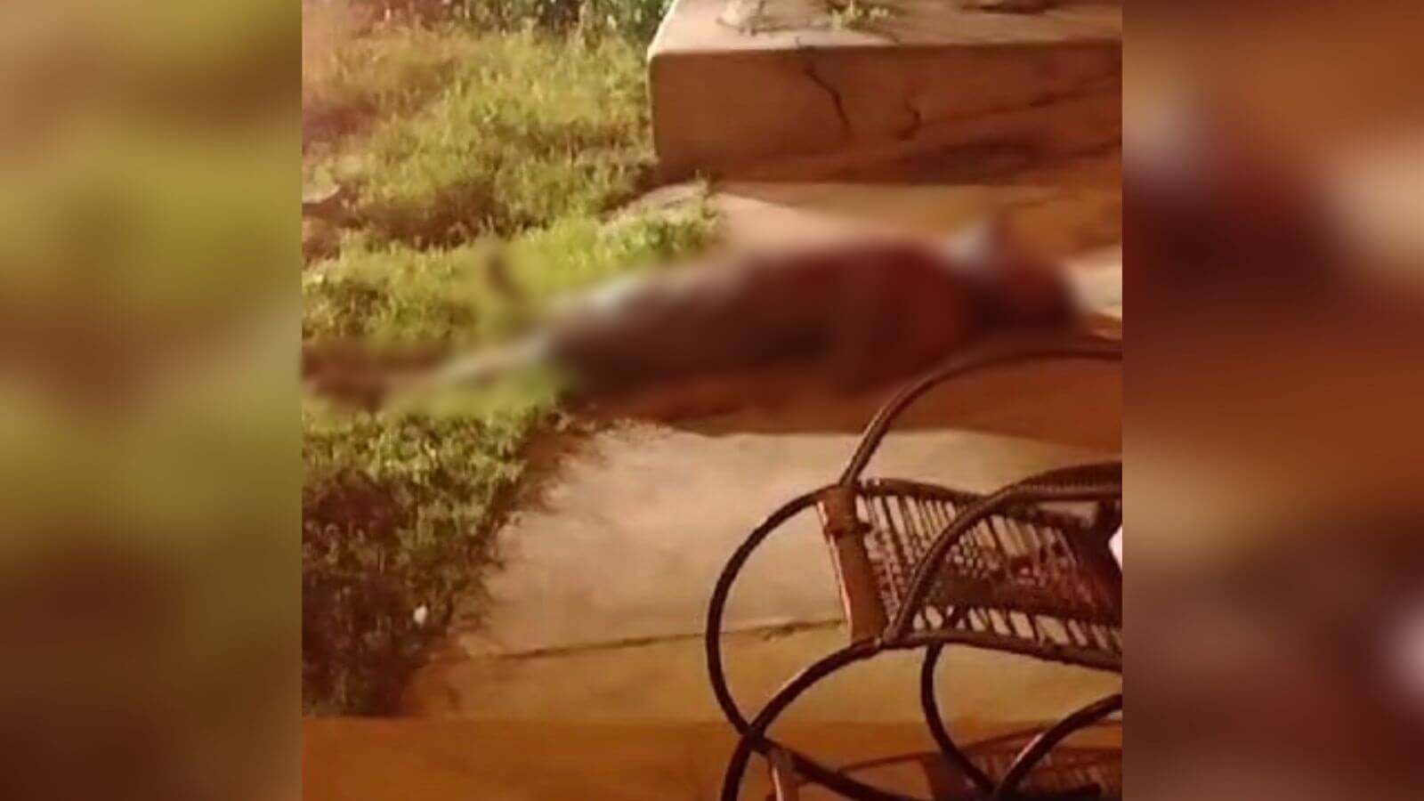 Homem que vivia em situação de rua é morto a facadas na noite desta terça-feira (27), no bairro da Maternidade, em Patos