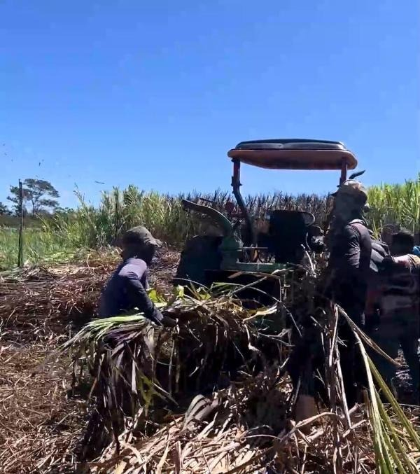 Prefeitura de Patos realiza produção de silagem para pequenos agricultores
