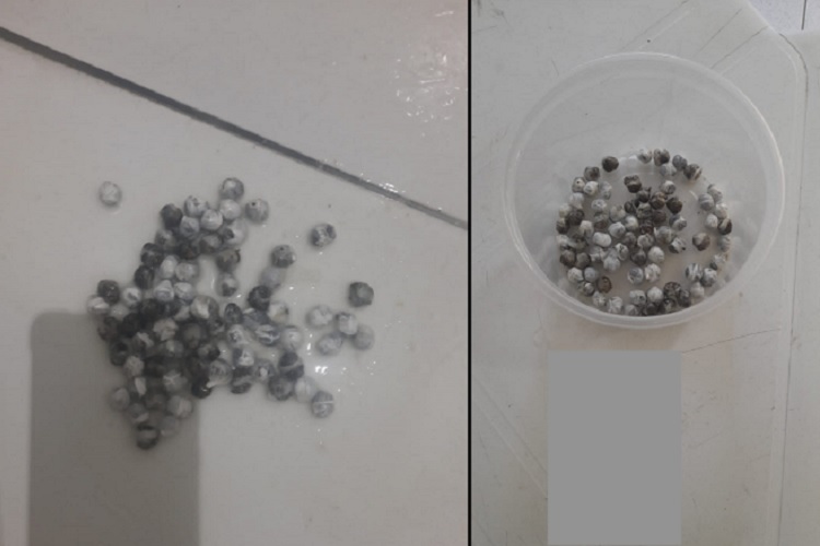 Jovem é presa ao tentar entrar no presídio de Cajazeiras levando maconha dentro do estômago