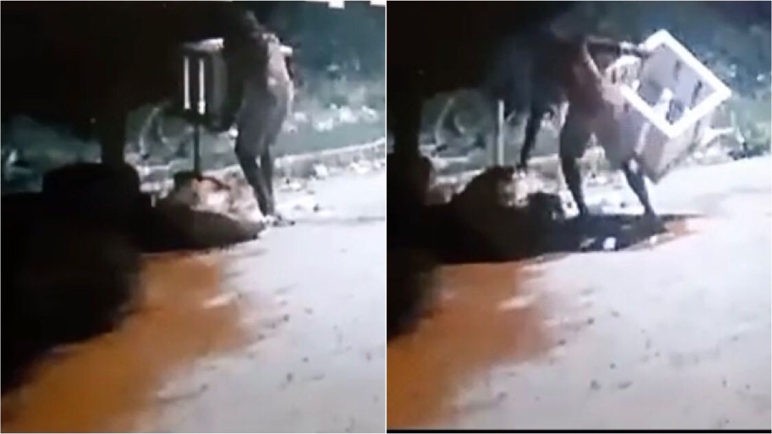 Homem é flagrado furtando cestos de lixo no bairro Jardim Magnólia, em Patos, durante a madrugada desta quinta-feira (13); veja vídeo