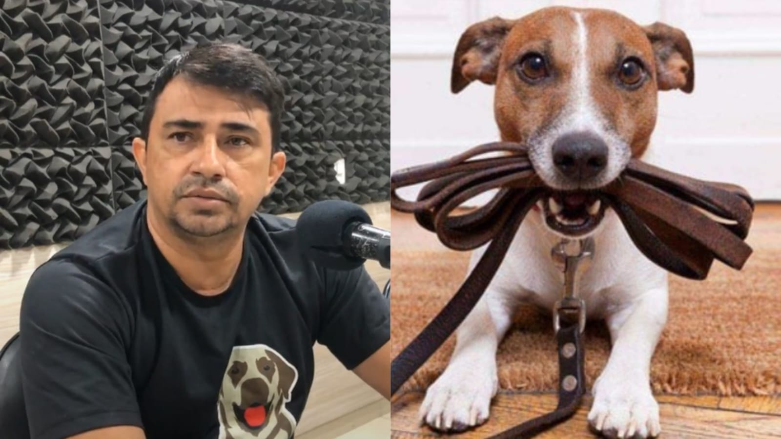 Adestrador Bethovem compartilha conhecimentos valiosos sobre a educação de animais de estimação durante entrevista no Programa Radar