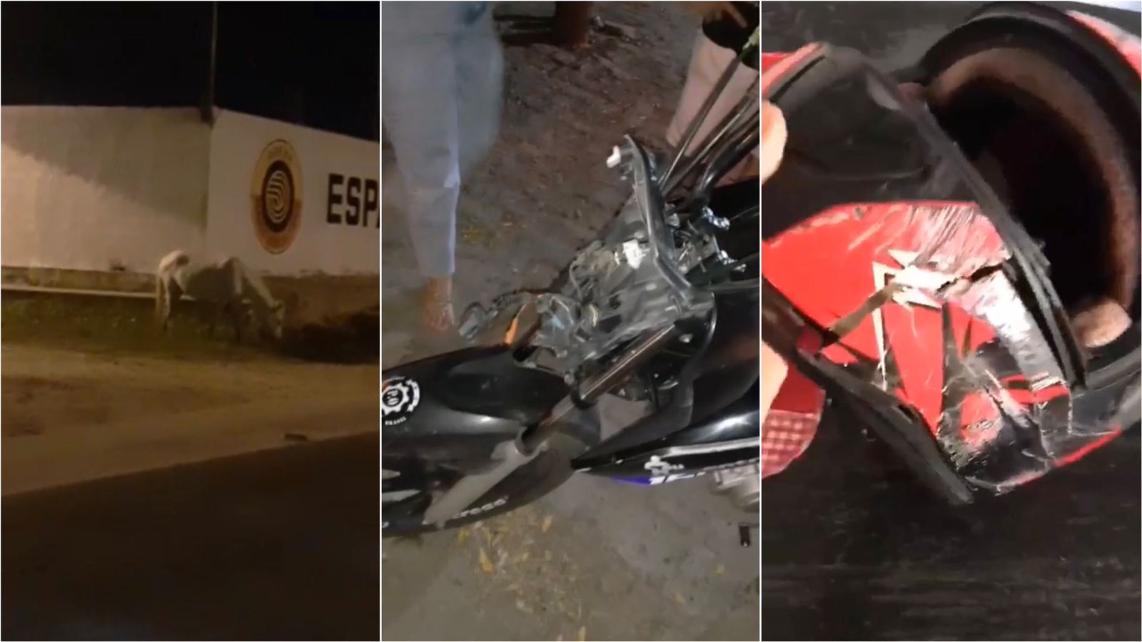 Cavalo solto na pista provoca acidente na madrugada desta segunda-feira (17), em Patos. VÍDEO