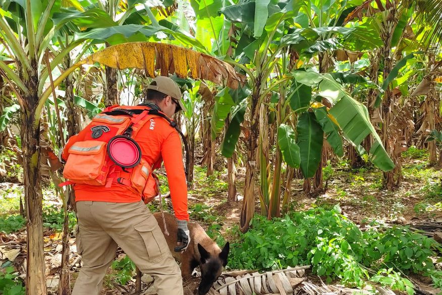 16º dia: Bombeiros vasculham poços e cacimbas em busca de Ana Sophia