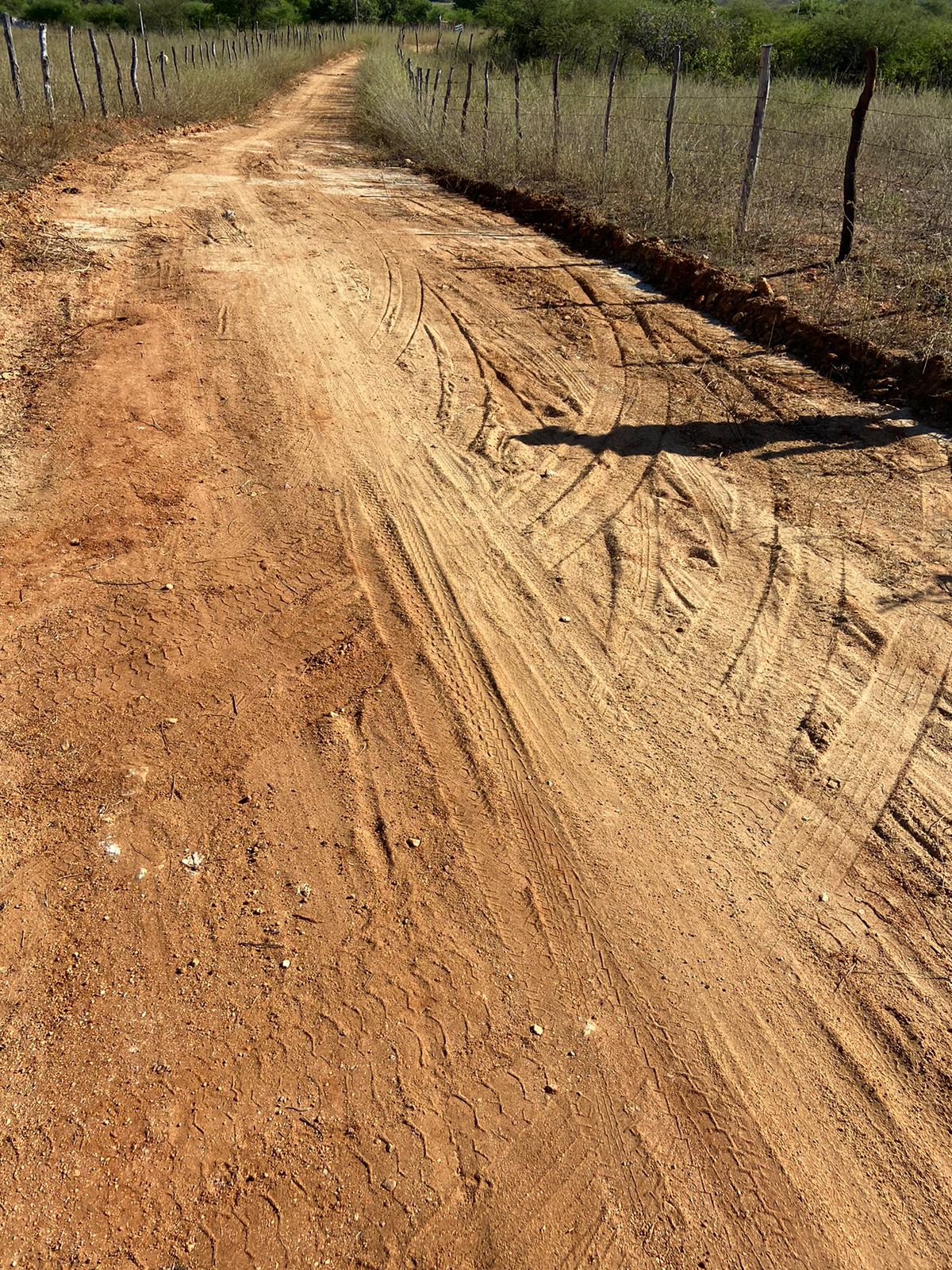 Usando carro e caminhão boiadeiro, bandidos invadem sítio na zona rural de Condado-PB e furtam 18 bovinos durante a madrugada desta segunda (24)