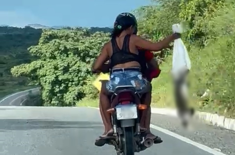 Polícia abre inquérito contra casal que largou gatos em movimento na BR-361, no Vale do Piancó; veja vídeo