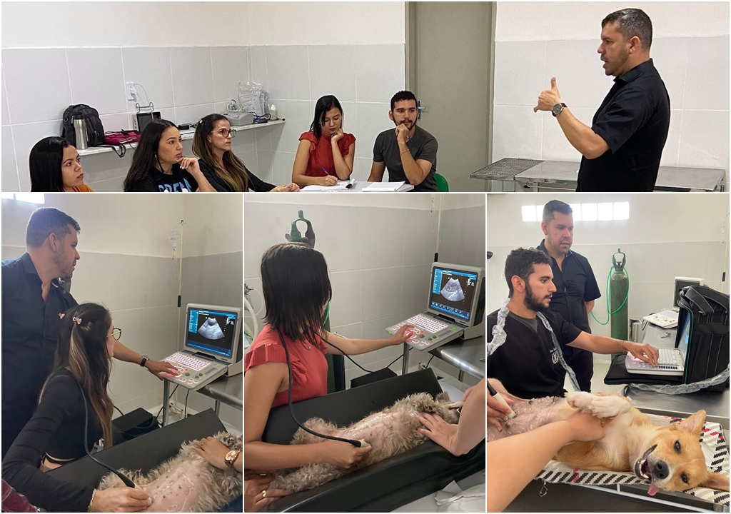 ONG Adota Patos realiza treinamento de ultrassonografia básica de animais de pequeno porte