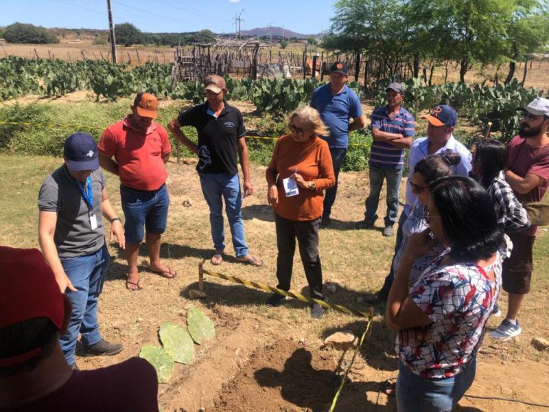 Secretaria de Agricultura de Patos promove manhã de campo sobre o cultivo da palma forrageira