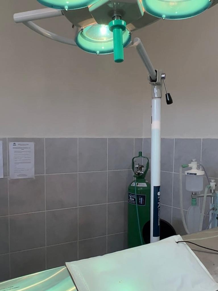 Patos celebra 1 ano do bloco cirúrgico do Abrigo Municipal de Animais com mais de 1.600 castrações