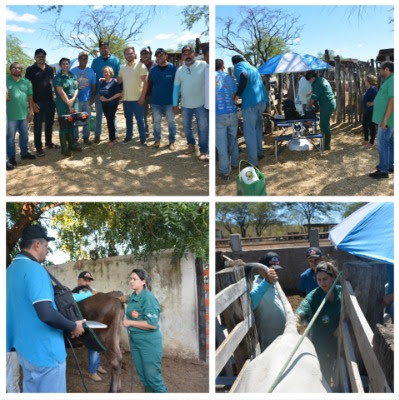 Prefeitura de São Mamede inicia programa para aumentar produtividade de gado de corte e leite