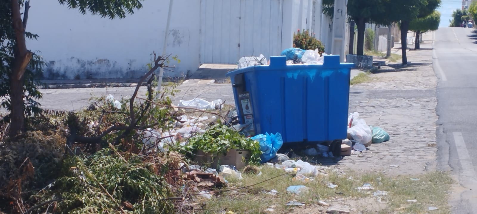 Moradora da Rua São José, em Patos, pede colaboração da população com coleta de lixo na localidade