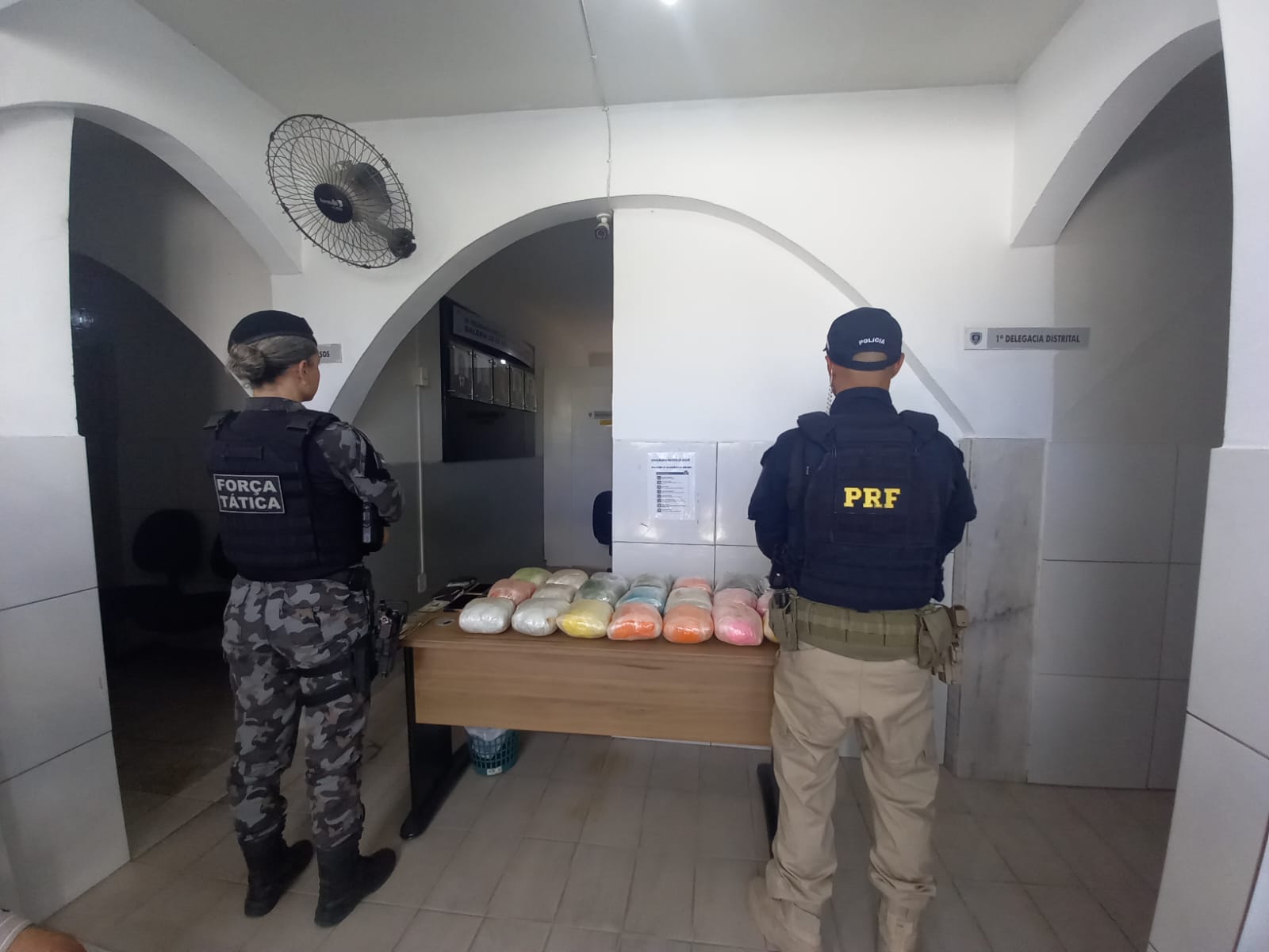 PRF apreende no Sertão da Paraíba, mais de 11 kg de supermaconha avaliada em quase R$ 500 mil