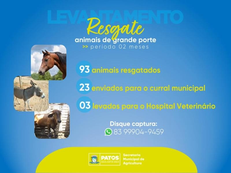 Secretaria de Agricultura de Patos faz balanço do resgate de animais de grande porte nos últimos dois meses