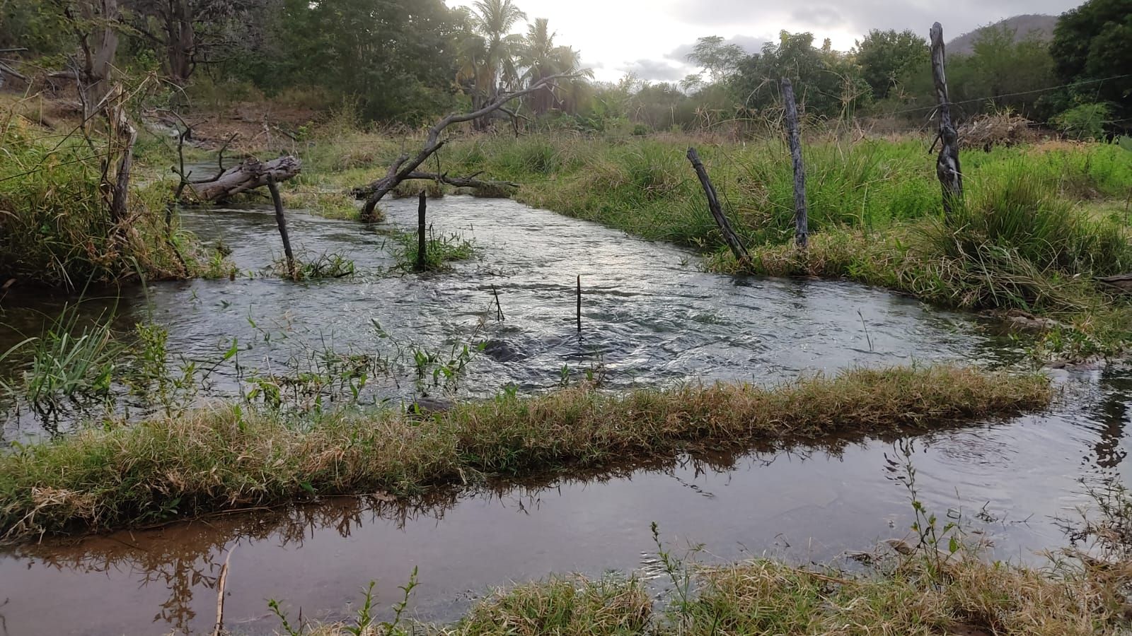 Com apenas 29% de sua capacidade hídrica, comportas da Barragem Capoeira voltam a ser abertas