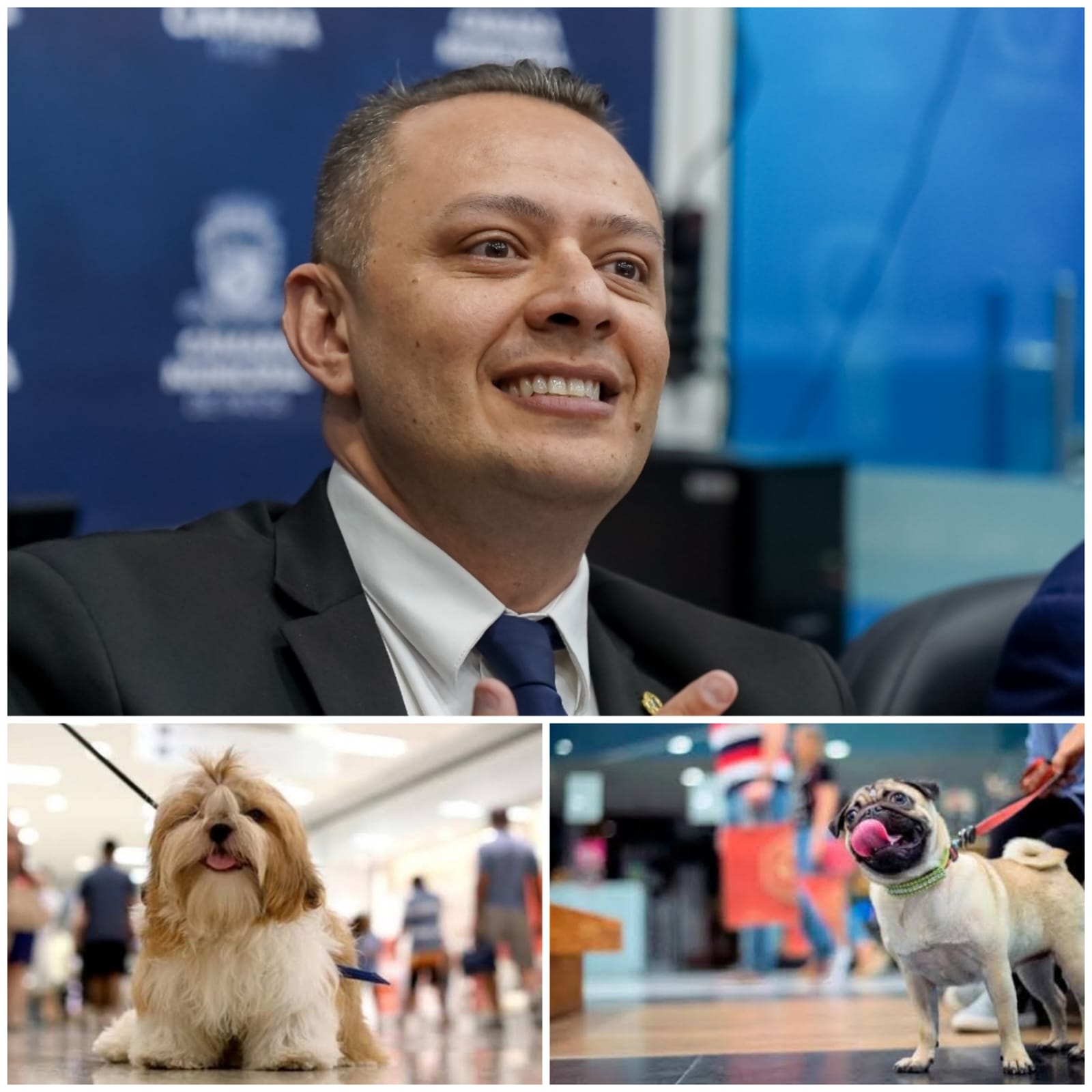 Em Patos: Lei municipal garante o acesso de PETs a shoppings e galerias comerciais