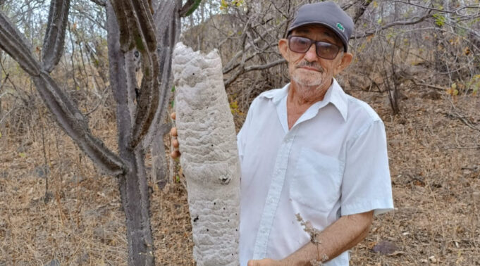 Familiares comunicam o falecimento do senhor Lamir Araújo Monteiro