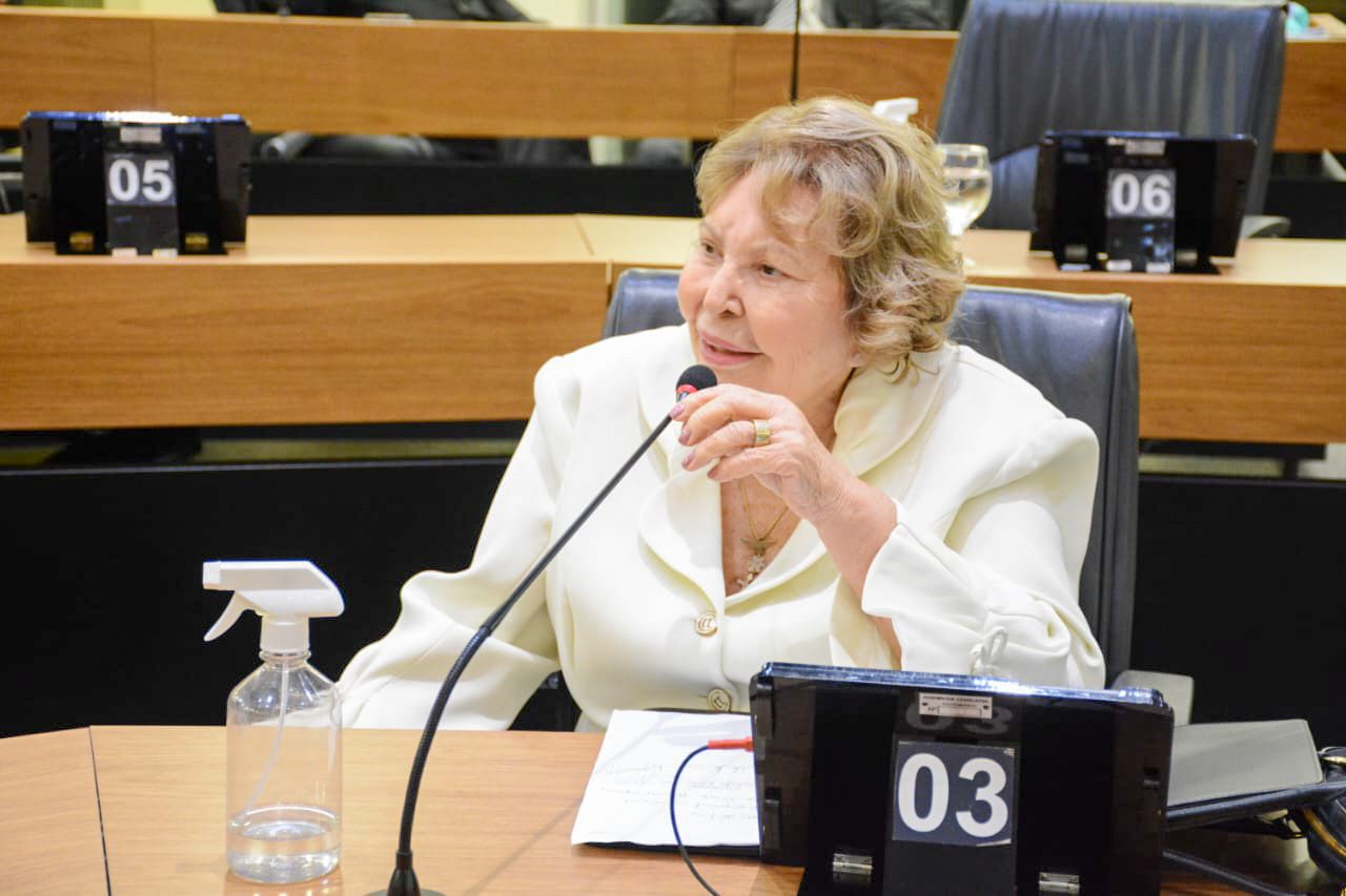 Deputada defende diálogo sobre Primeira Infância, na Assembleia Legislativa