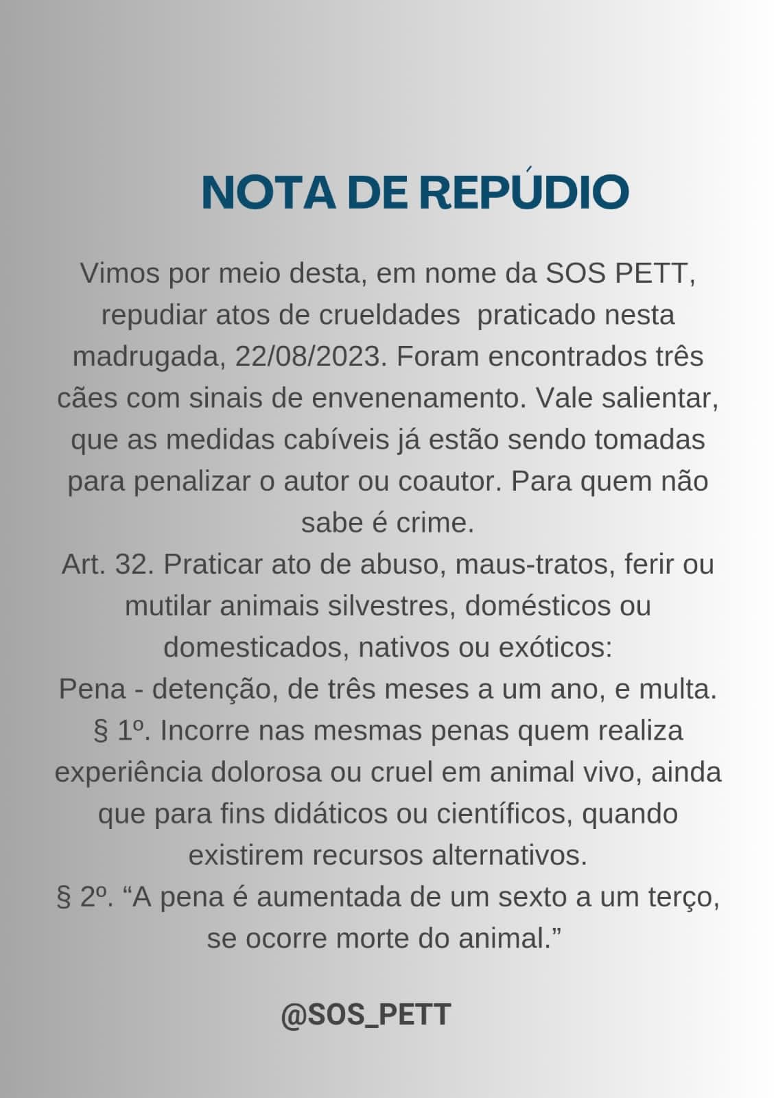 ONG do município de Cacimbas denuncia envenenamento de animais de rua na cidade