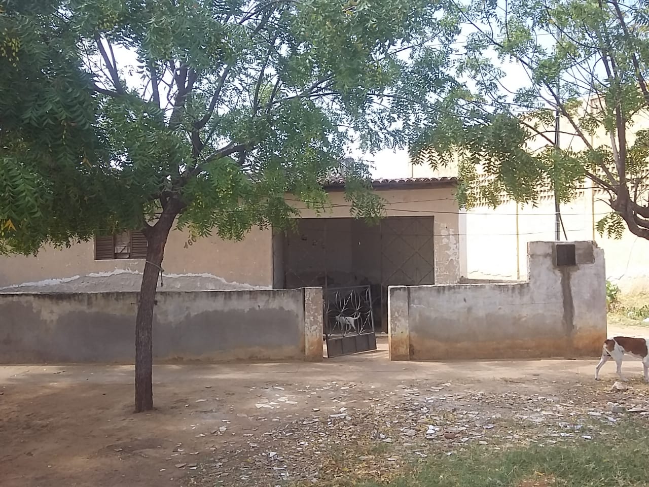 Em Patos: sem condições para pagar aluguel, mulher consegue casa abandonada para morar e pede ajuda para ligar energia