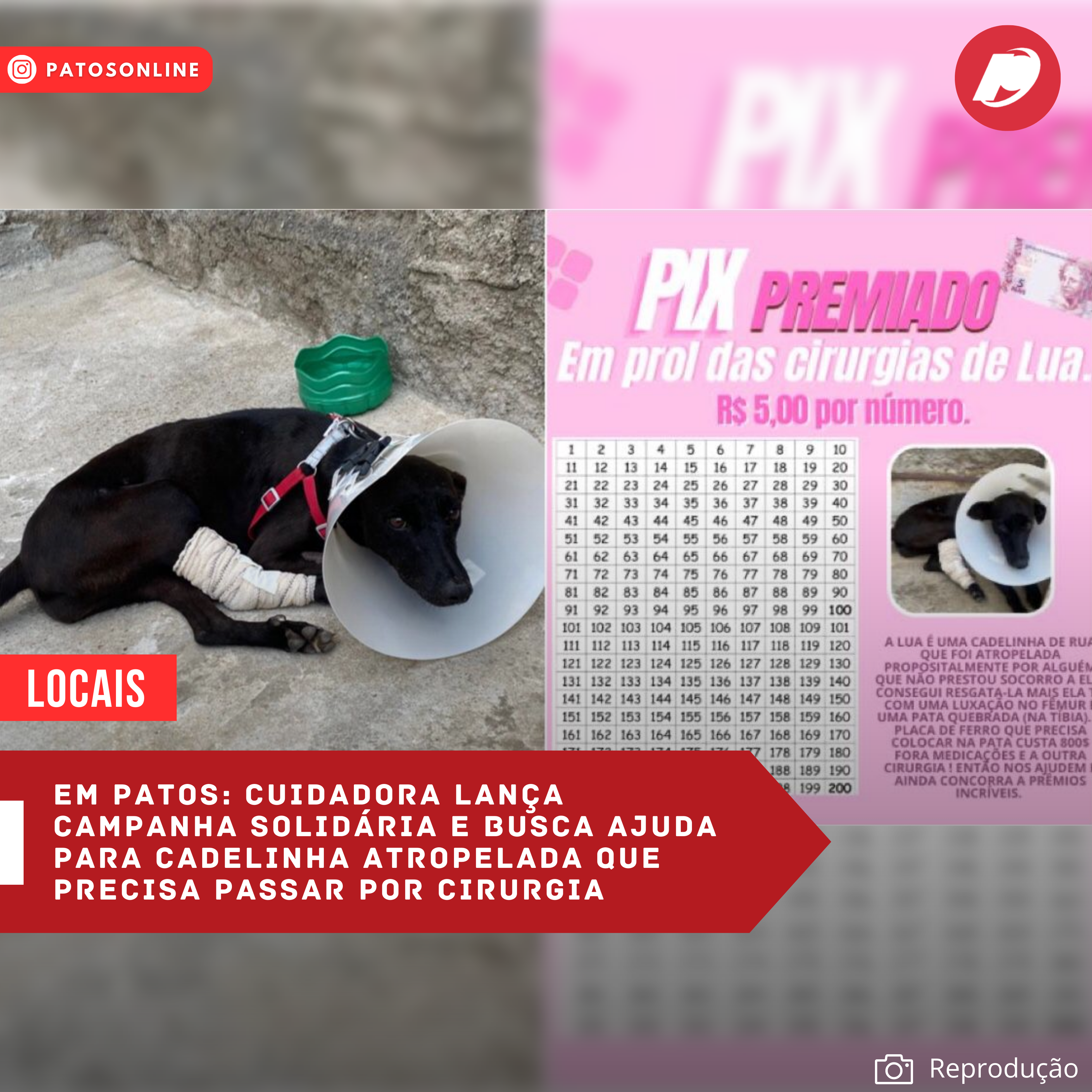 Lenildo Morais repudia título de cidadão patoense a Bolsonaro e pede revogação ao prefeito Nabor: “Conceder a honraria é manchar a história da cidade”