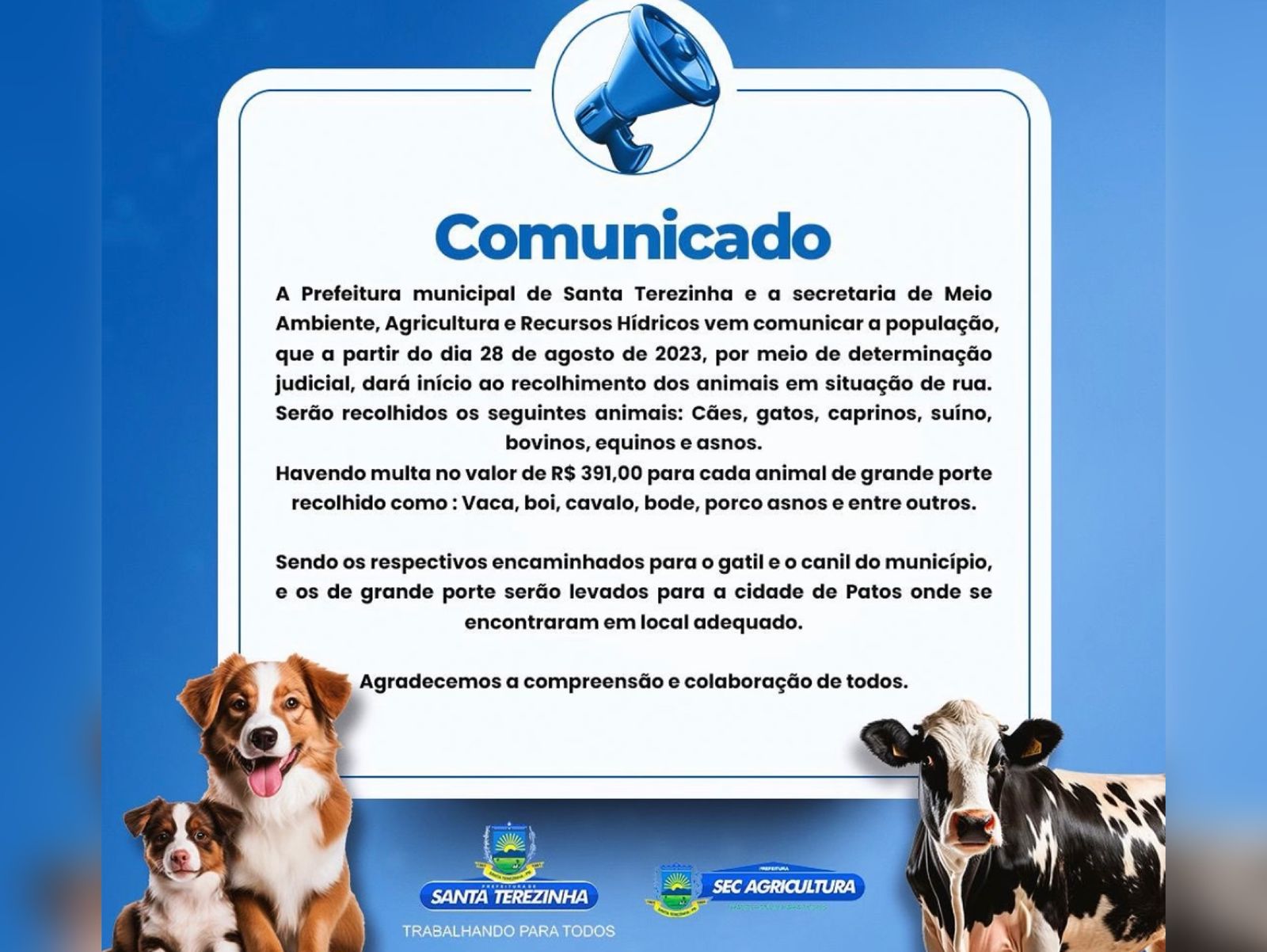 Prefeitura de Santa Terezinha-PB inicia nesta segunda (28), recolhimento de animais de rua conforme determinação judicial