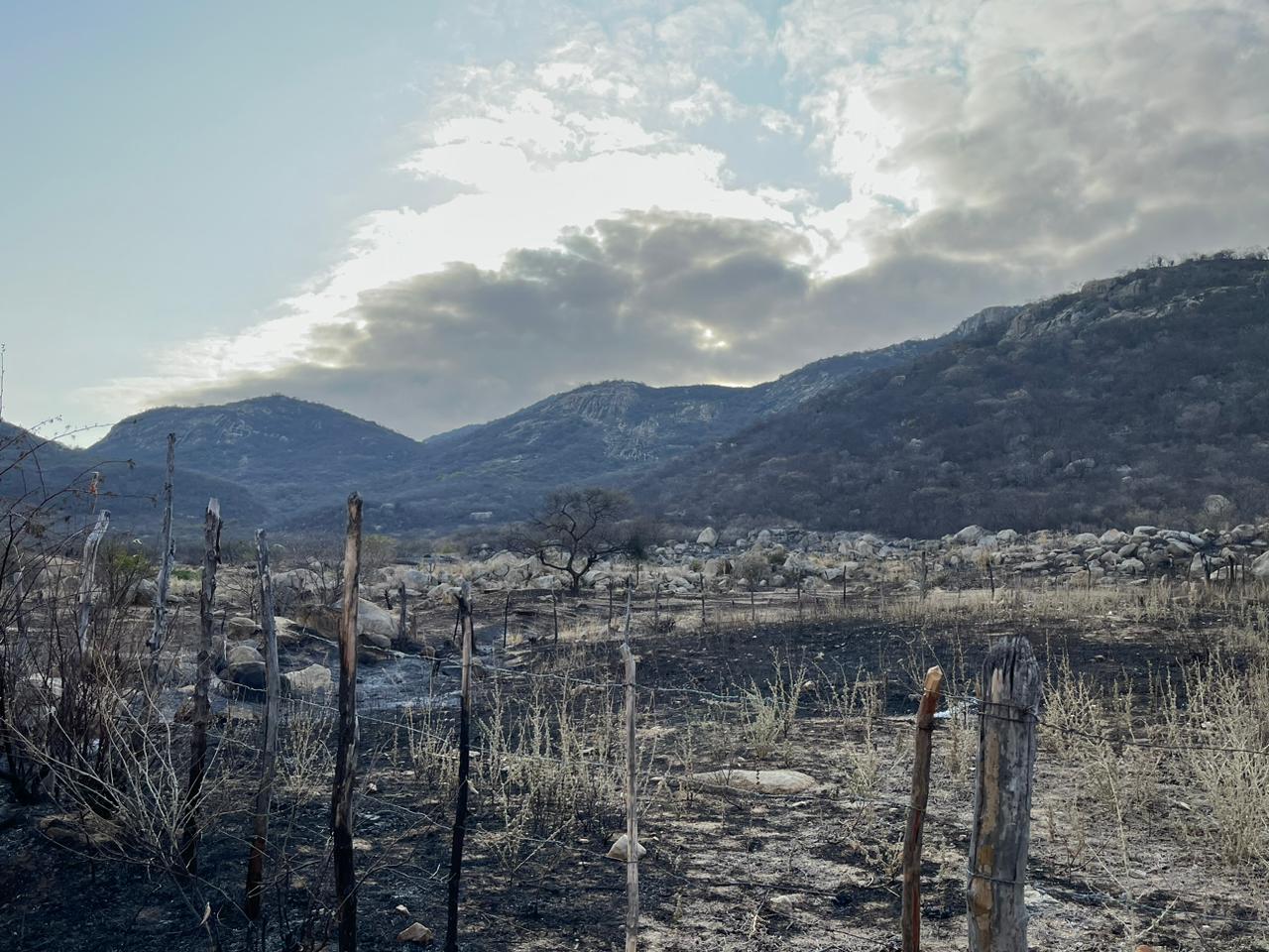 Comandante do 4º BBM, Major Galvão, fala sobre combate à incêndio em serra no município de Mãe d'Água e diz que fogo foi criminoso. OUÇA