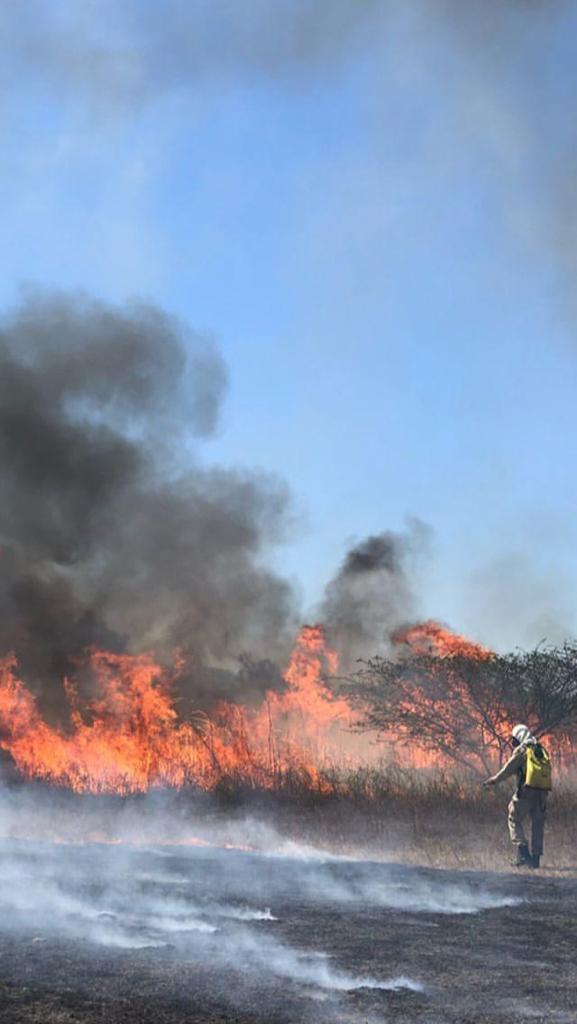 Coronel Saulo Laurentino, comandante do 3°CRBM, fala sobre início da Operação Queimadas 2023, para combate à incêndios florestais no Sertão. OUÇA