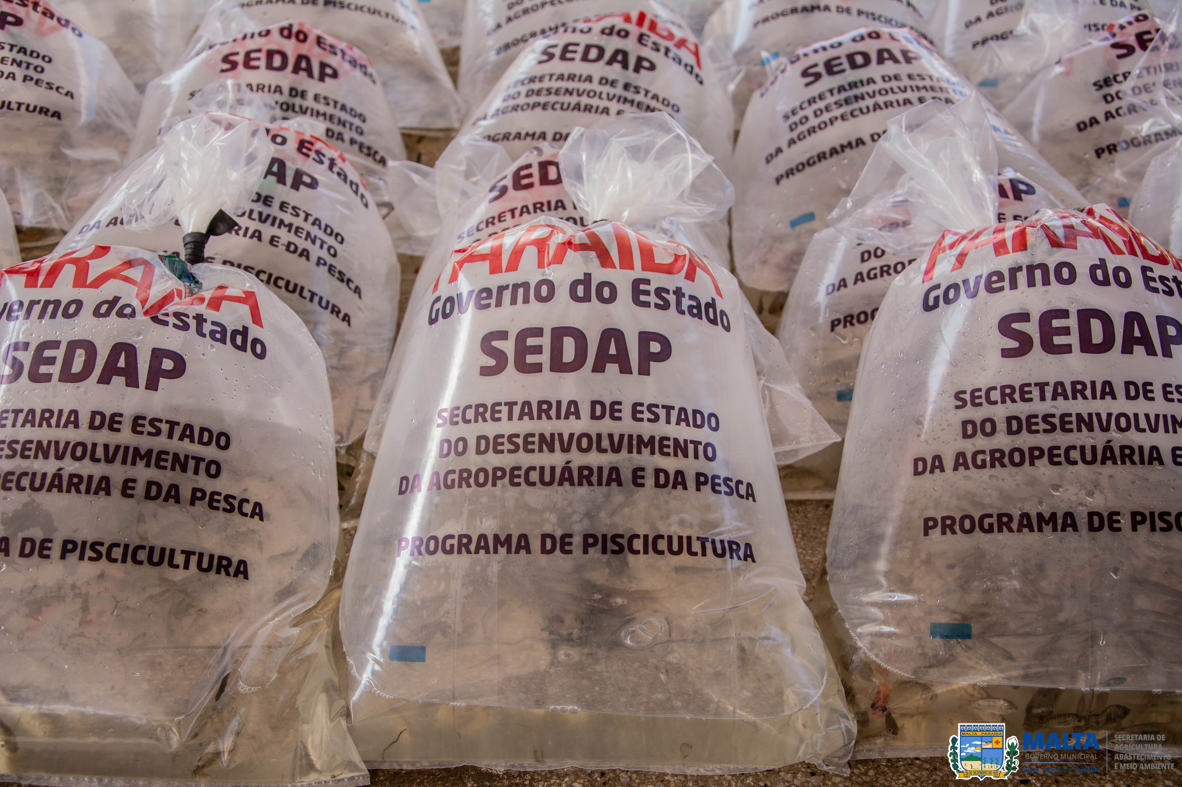 Prefeitura de Malta fortalece a agricultura familiar com reposição de alevinos para os agricultores