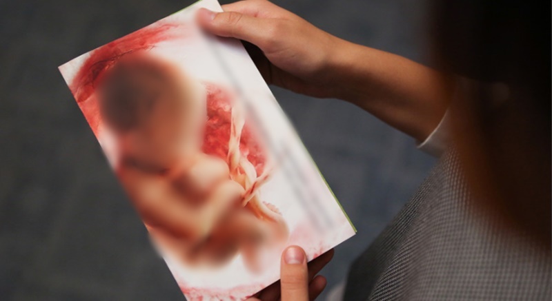 Rosa Weber libera para julgamento no STF ação sobre descriminalização do aborto