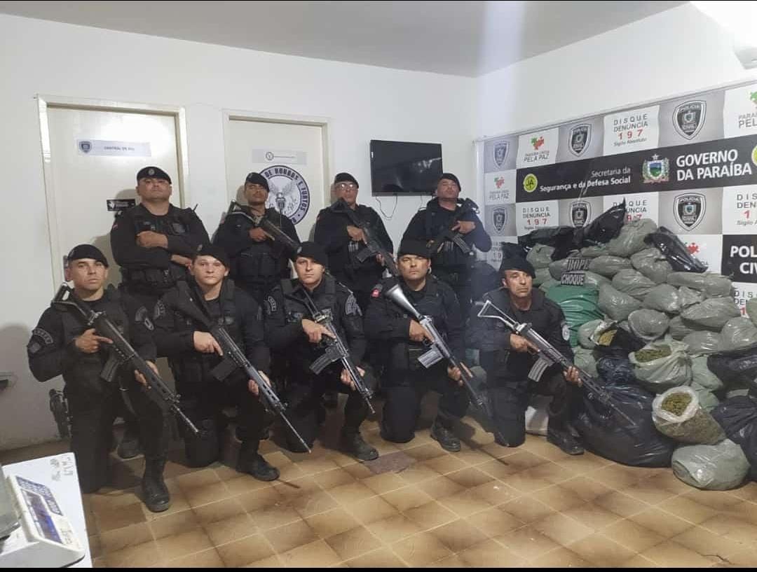 Policiais militares do BOPE apreendem mais de 4 mil pés de maconha e 100 kg de drogas em operação na zona rural de Malta