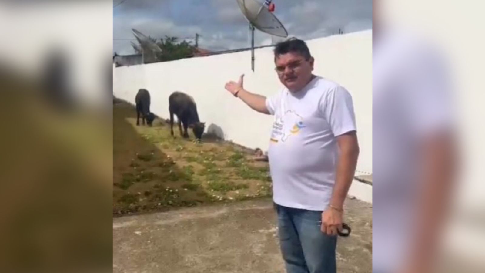 “Aqui virou curral”, desabafa prefeito de cidade do Sertão após gado invadir terreno da prefeitura; veja vídeo