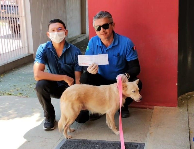 Vacinação Antirrábica 2023: Quixaba inicia campanha na próxima segunda (18); veja dias e áreas de vacinação