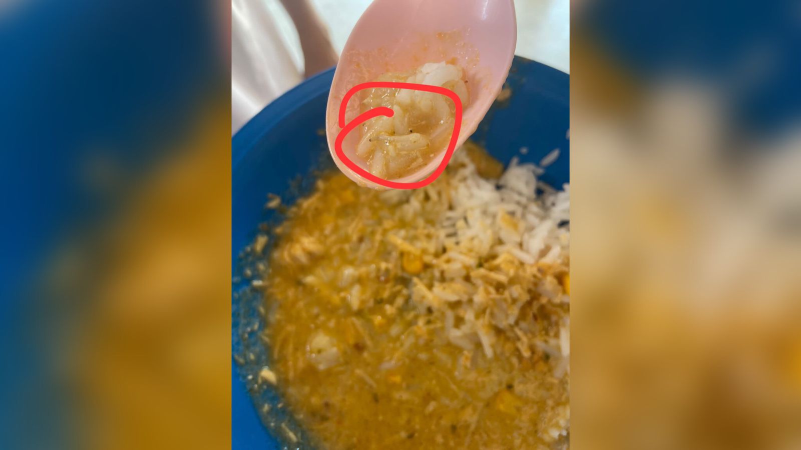 Alunos da Escola Estadual Coriolano de Medeiros, em Patos, também denunciam presença de larvas em merenda