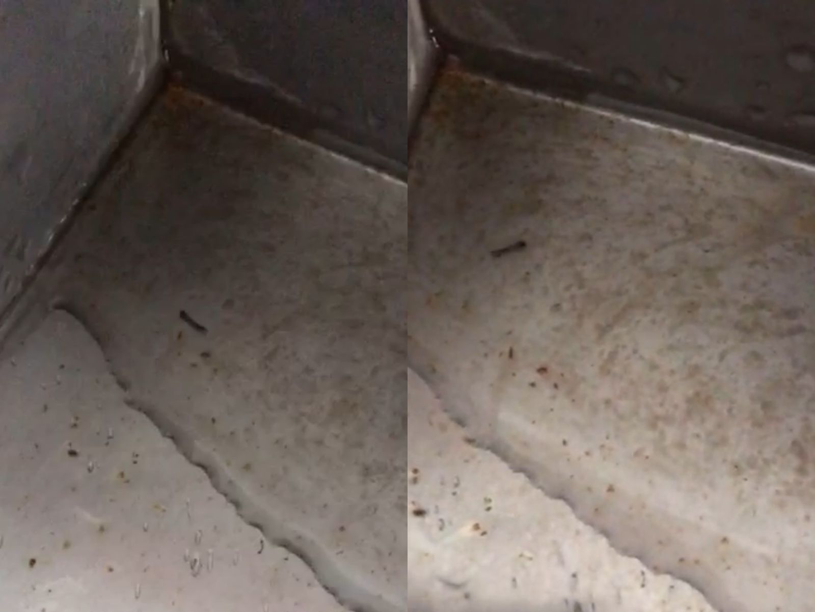 Após larvas serem encontradas em merendas das escolas CEPA e Corialano de Medeiros, aluna registra imagem de larvas em bebedouro de outra escola da rede estadual; veja