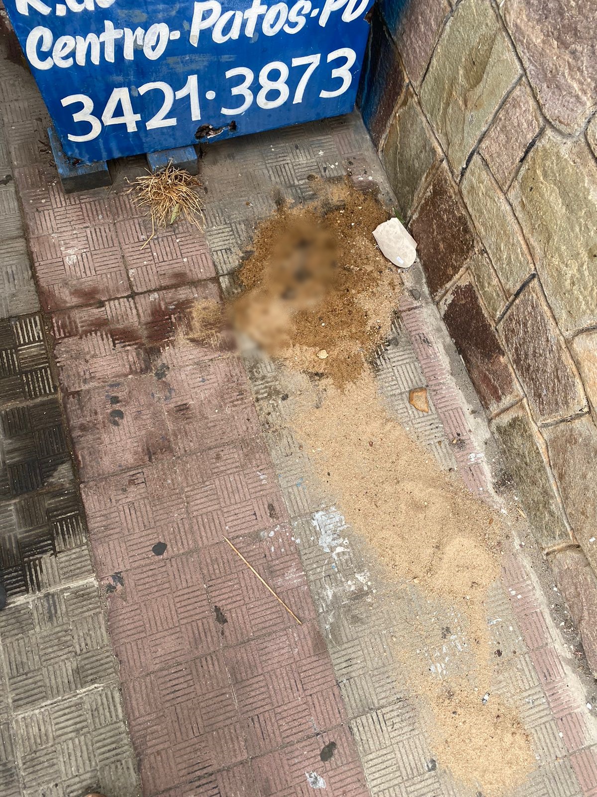 Moradora denuncia que parqueiros estariam urinando e defecando nas calçadas próximas aos parques de diversão, no Centro de Patos