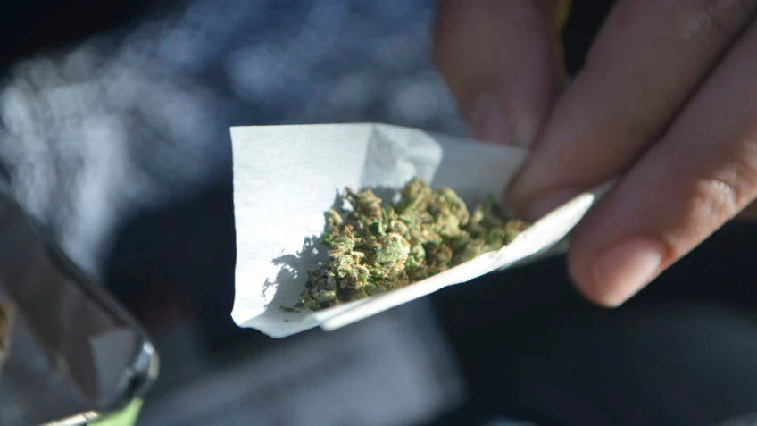 Liberação da Maconha: 73% dos brasileiros são contra o uso recreativo da droga, segundo DataFolha